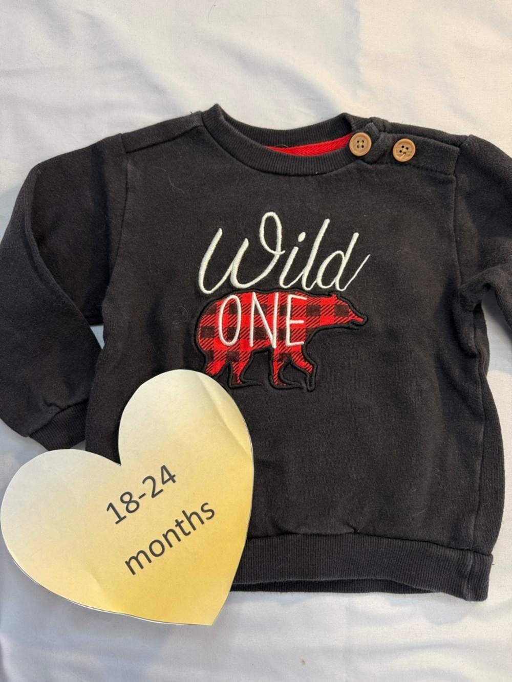 The Littlest - long sleeve pullover sweater/sweatshirt. Size 18-24 months